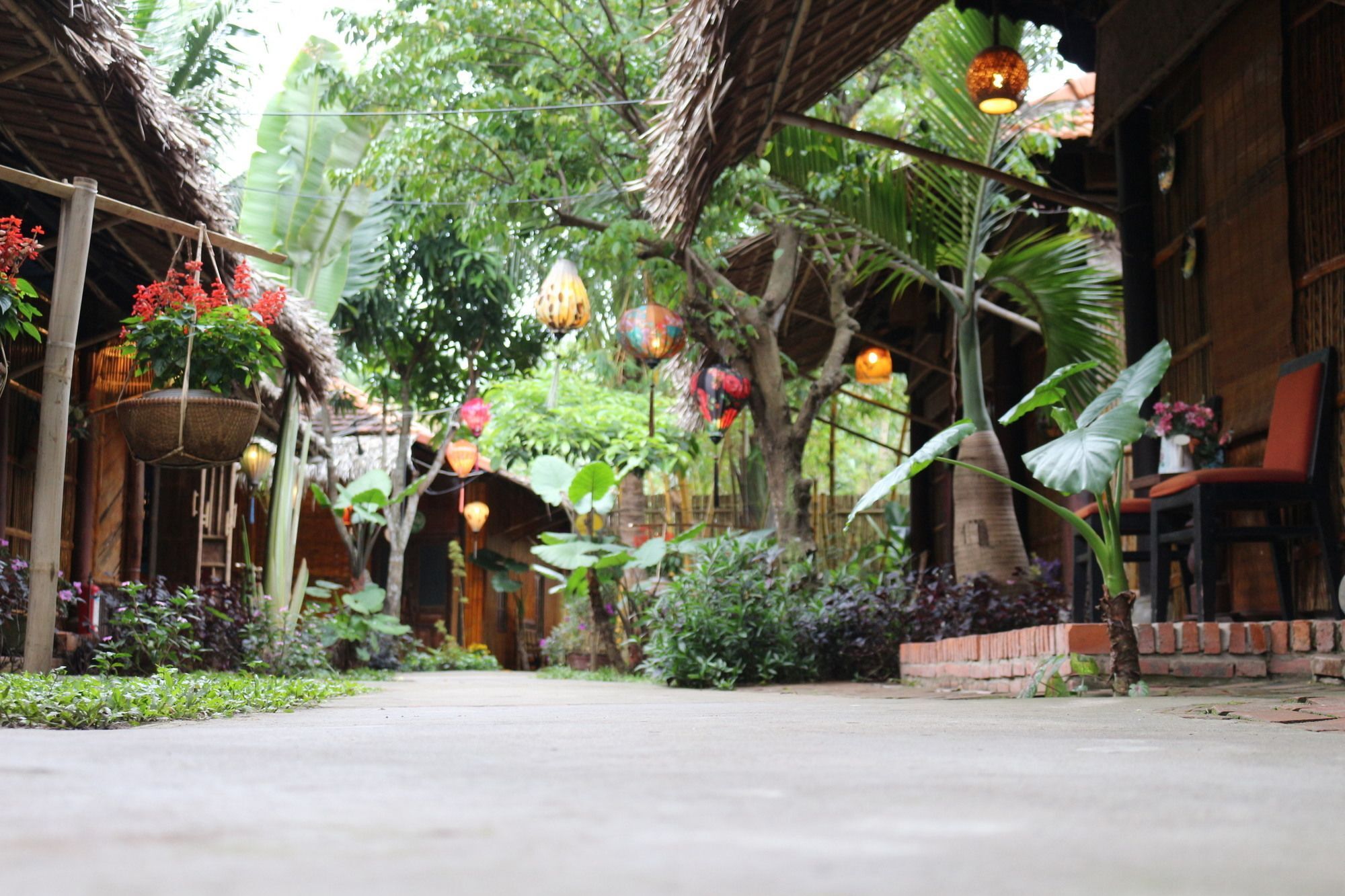 Under The Coconut Tree Hotel Hoi An Luaran gambar