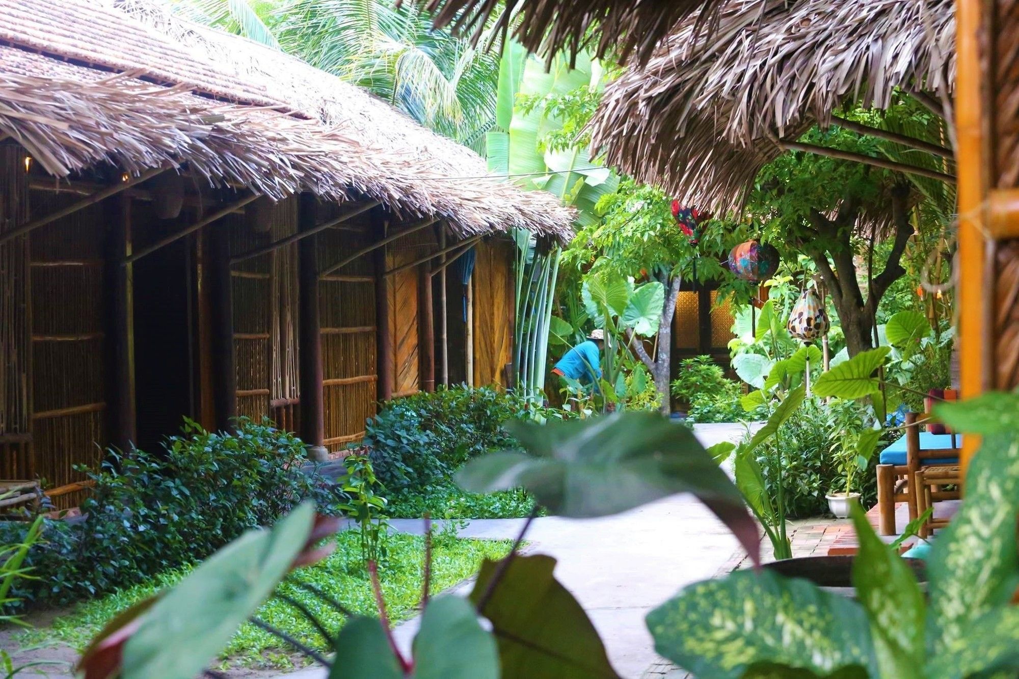 Under The Coconut Tree Hotel Hoi An Luaran gambar